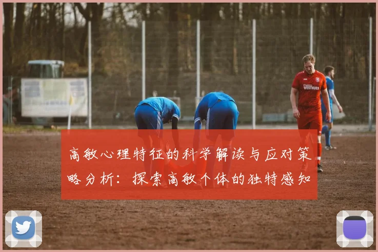 高敏心理特征的科学解读与应对策略分析：探索高敏个体的独特感知与行为模式