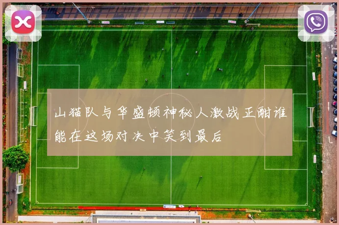山猫队与华盛顿神秘人激战正酣谁能在这场对决中笑到最后