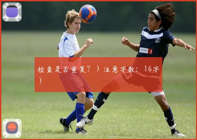检查是否重复？）注意字数：16字）