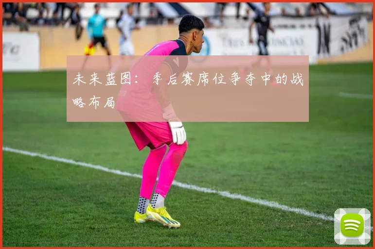 未来蓝图：季后赛席位争夺中的战略布局