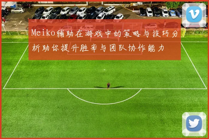 Meiko辅助在游戏中的策略与技巧分析助你提升胜率与团队协作能力